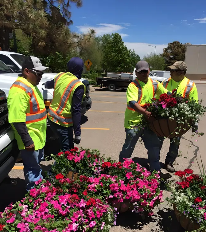 Los Alamos Landscaping team preparing vibrant pink flowers in front of a large shipping container with a vintage truck mounted on top.